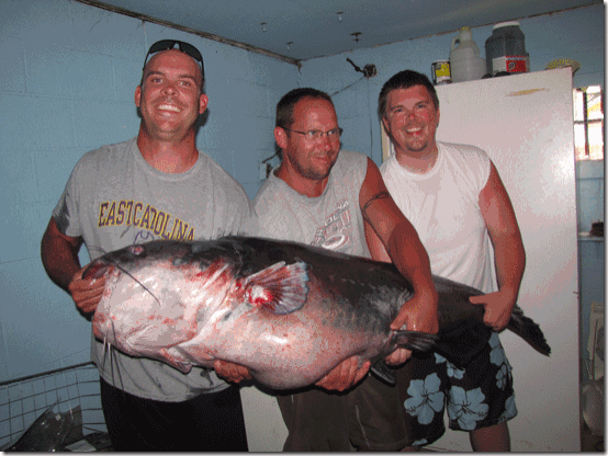 virginia-world-record-blue-catfish-1_thumb